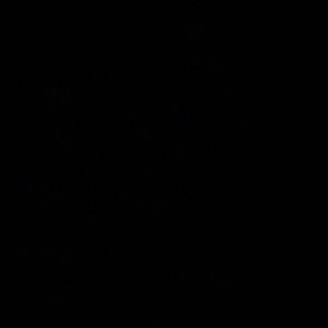 Meet your Posher, Madilynn